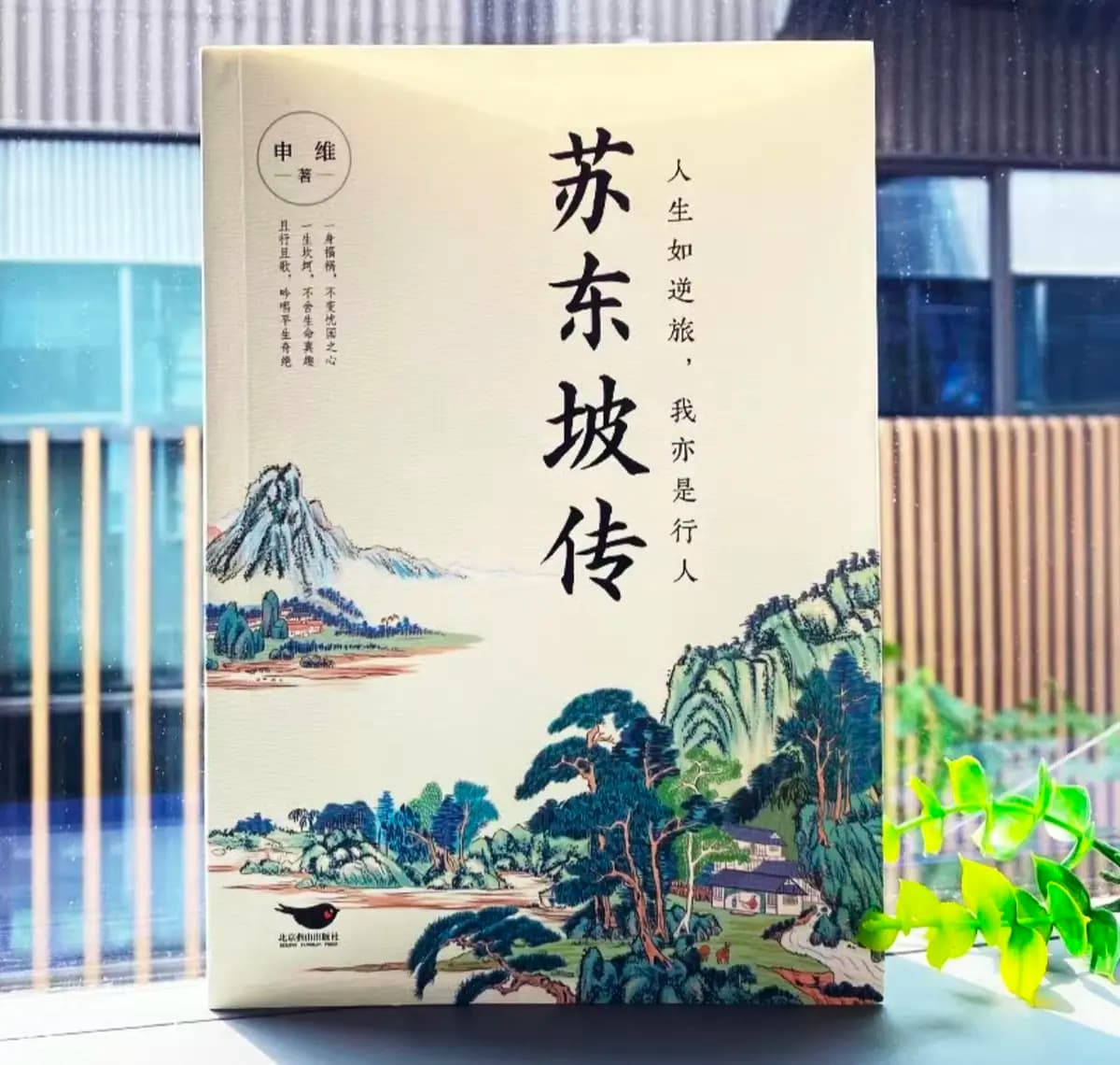 《苏东坡传》：于命运波澜中，悟豁达才情与坚守之道