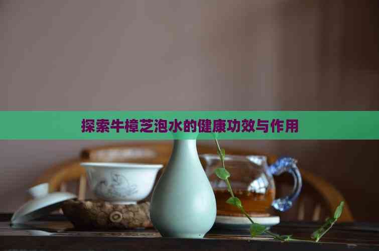 探索牛樟芝泡水的健康功效与作用