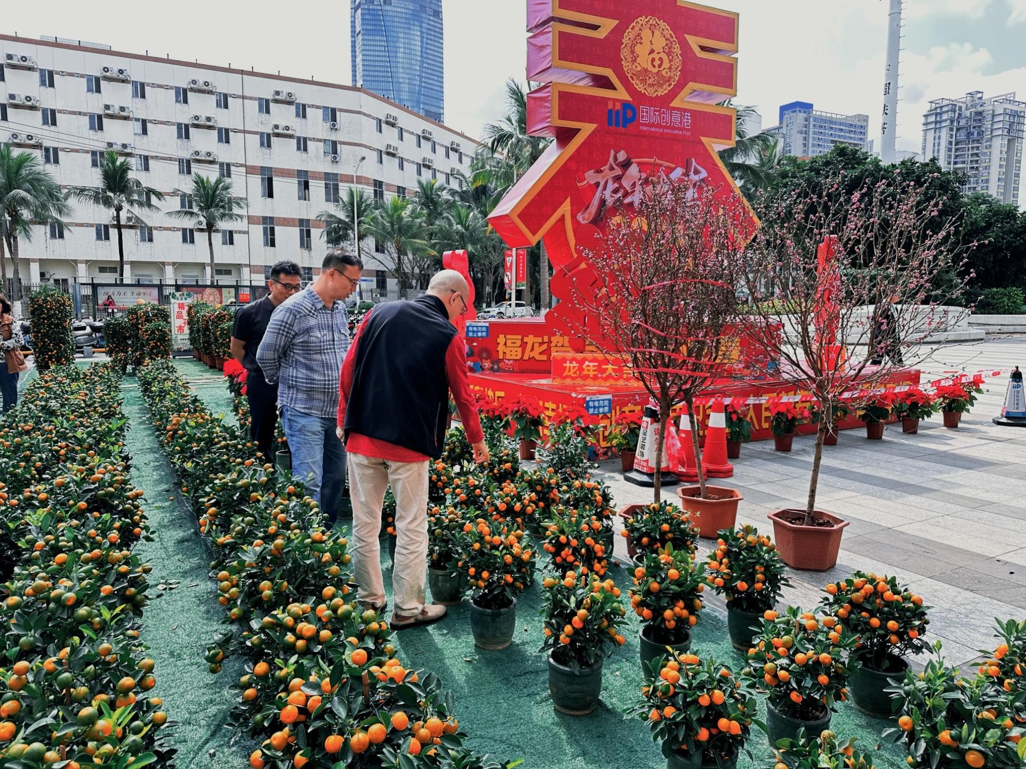 解锁海南人的“年味”