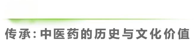 中国中医药创新发展研究报告