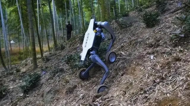 国产机器狗技术突飞猛进：从实验室走向商业化