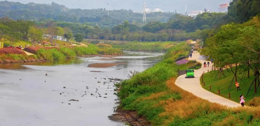 深圳大沙河生态长廊：一条会呼吸的河川