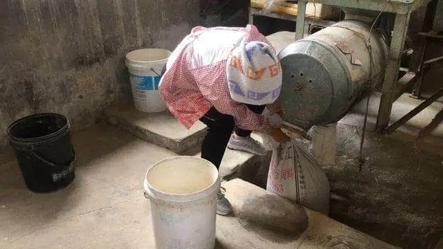 一斤麦子出多少面，详解小麦出粉率及其影响因素