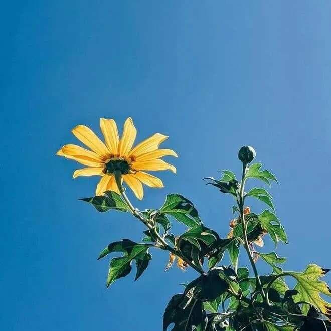 现代诗中标点符号的应用（文学讲座）