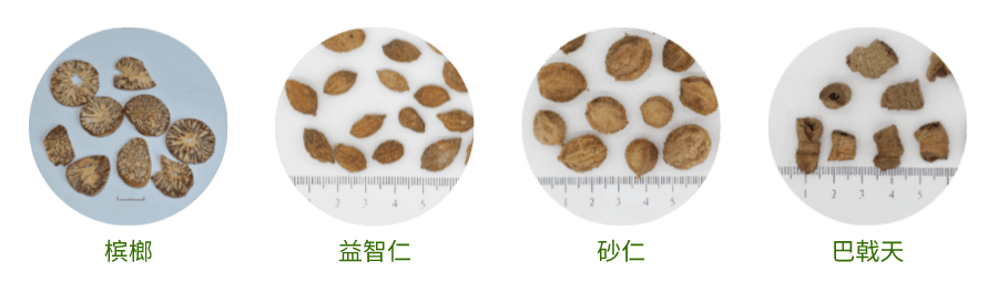 经典地道的四味南药，不起眼但有大作用！