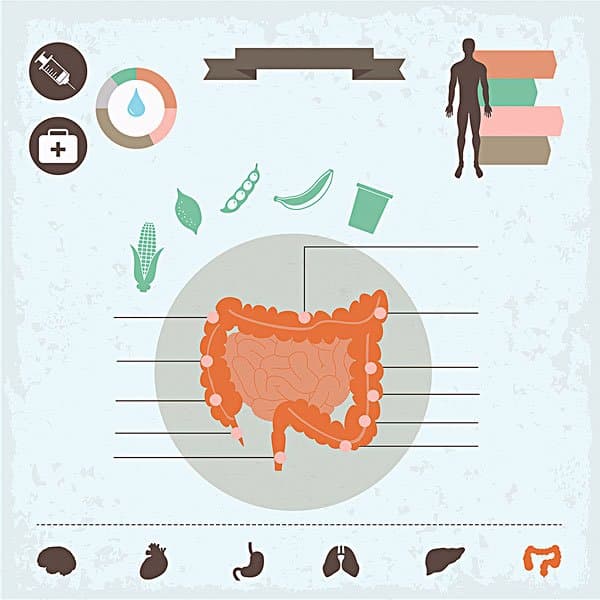 慢性腹泻吃什么食物调理肠胃