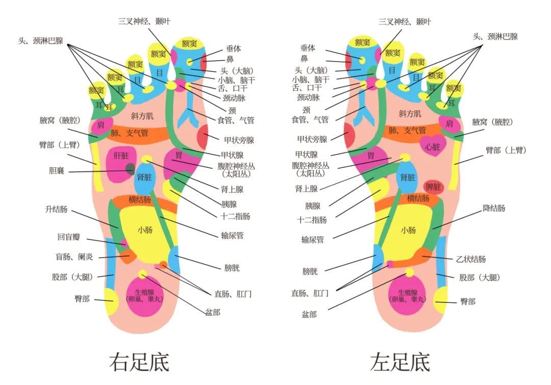 泡脚加些料，一盆水泡走夏季小毛病！