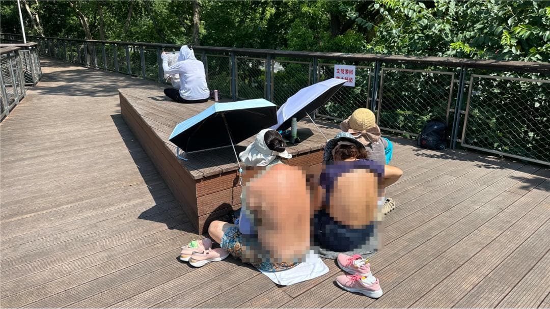 有人在公园里“裸背”？三伏天“晒背”需理智！