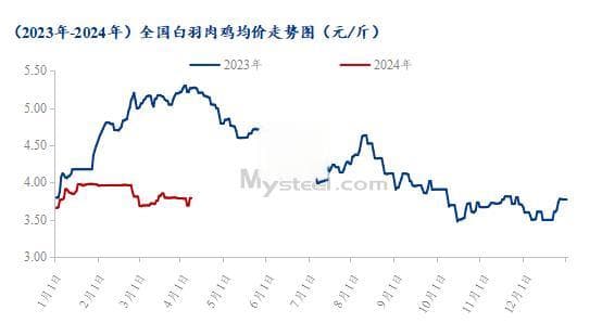Mysteel解读：白羽鸡长期低位震荡，2季度仍旧拐点难寻