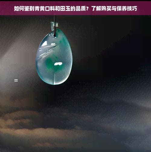 如何鉴别青黄口料和田玉的品质？了解购买与保养技巧