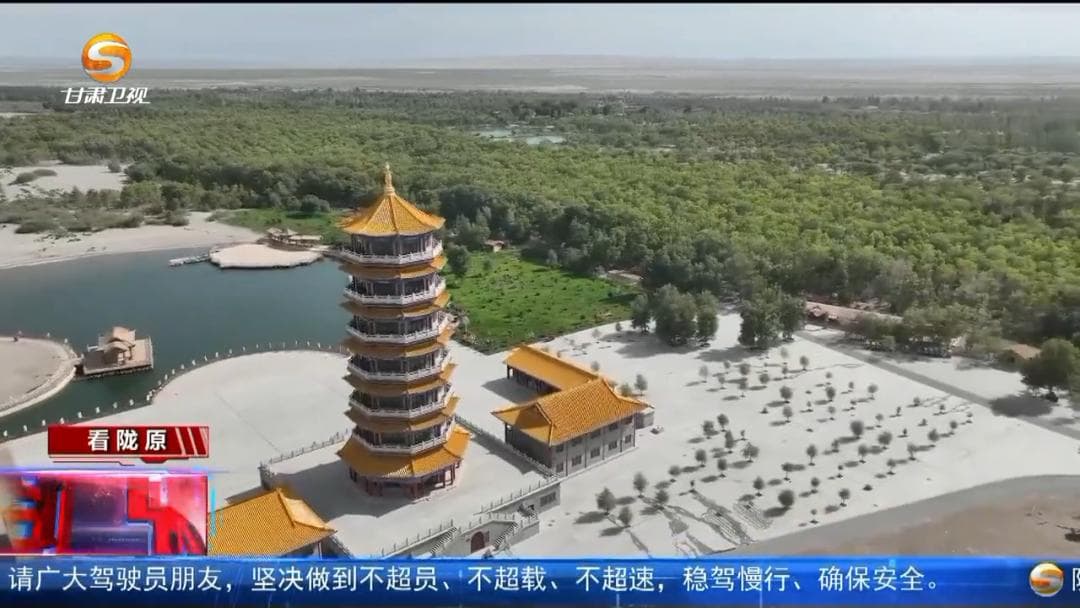 金塔：科学防沙治沙 构筑绿色屏障