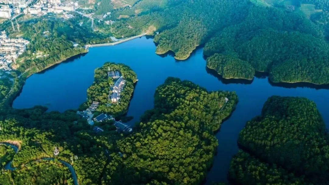 守护美好生态家园 共筑野生动植物乐园——普洱市扎实推进生物多样性保护工作