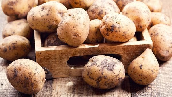 食用生芽土豆中毒怎么办？五种处理方法详解