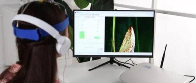 罚款150万！医保局：康复科不能开展“脑电生物反馈治疗”！