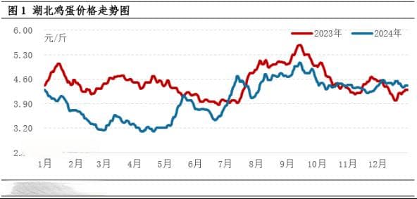 2025年1月份湖北鸡蛋价格或高位下滑