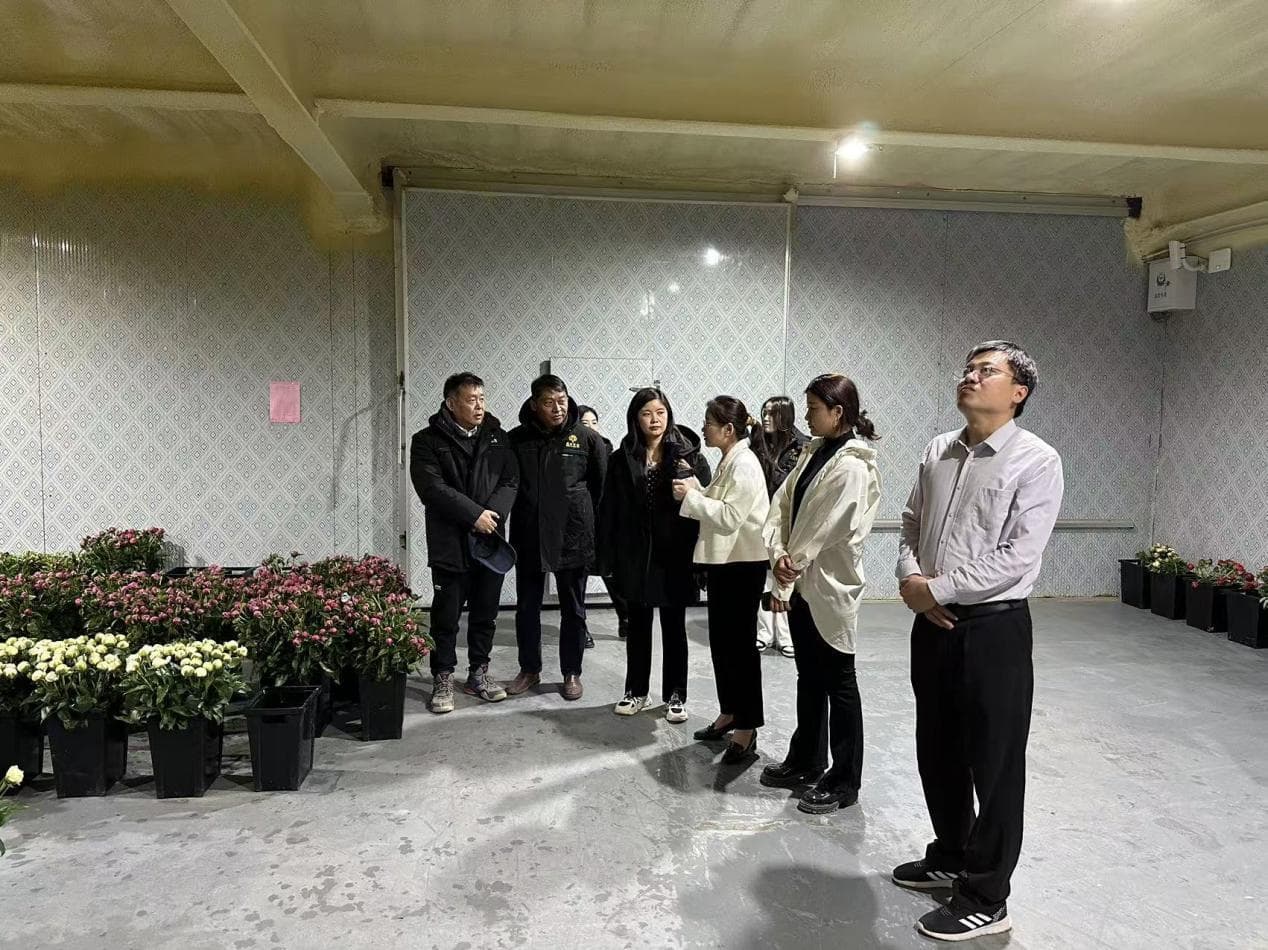 都司：聚力三产融合 全面推进乡村振兴建设