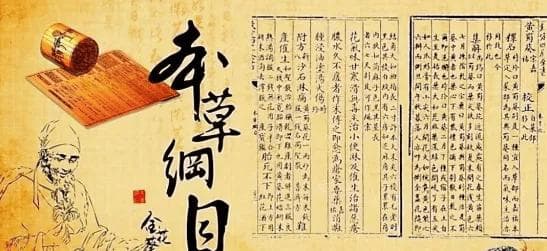 白萝卜的功效与食用禁忌全解析
