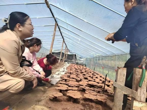【基层风采】普法有我，让关爱与法律并行