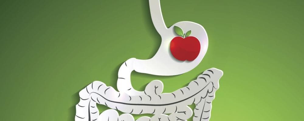 胃下垂患者吃什么食物比较好
