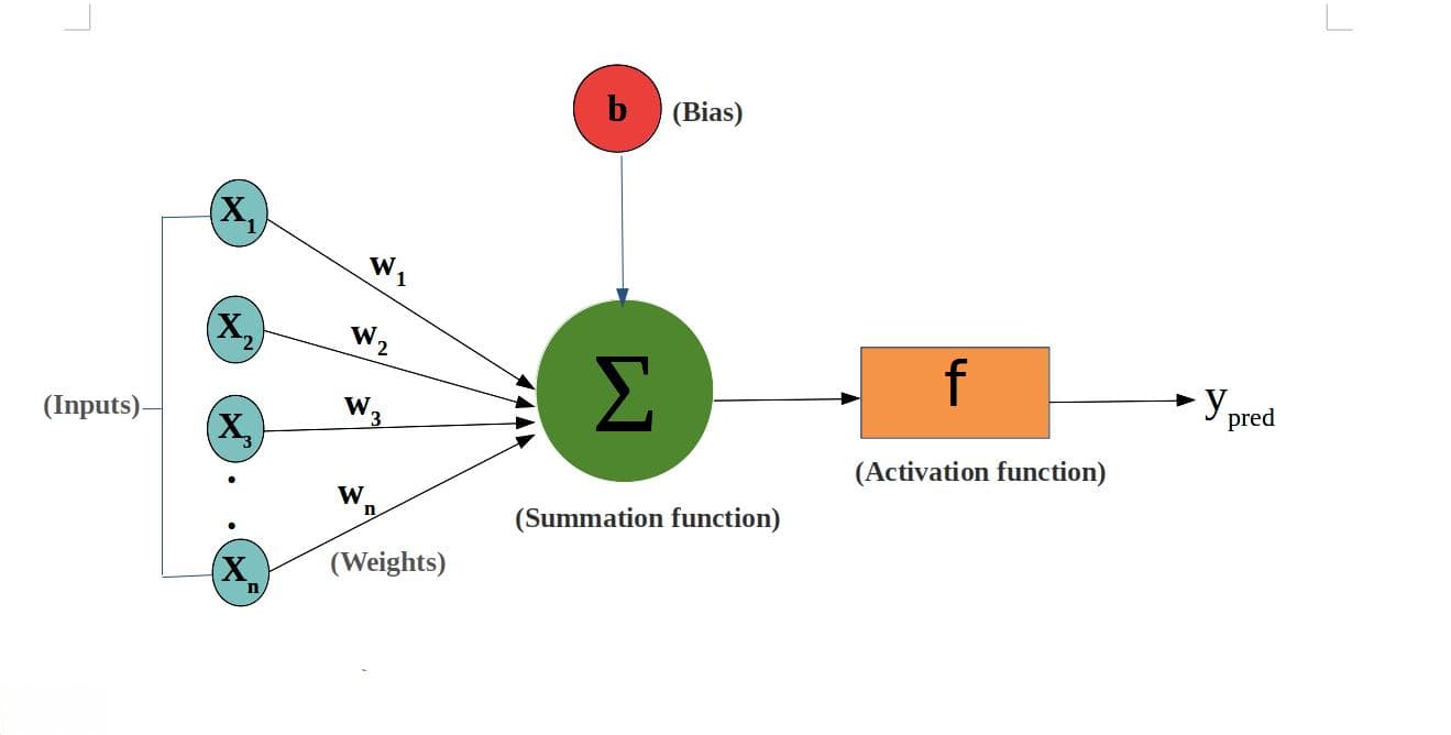 PyTorch 神经网络基础