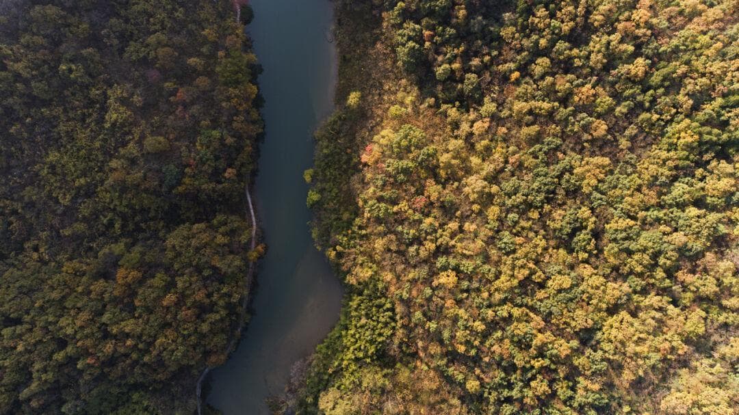 守护南水北调水源地——记TNC河南丹江石漠化土地近自然精准修复项目