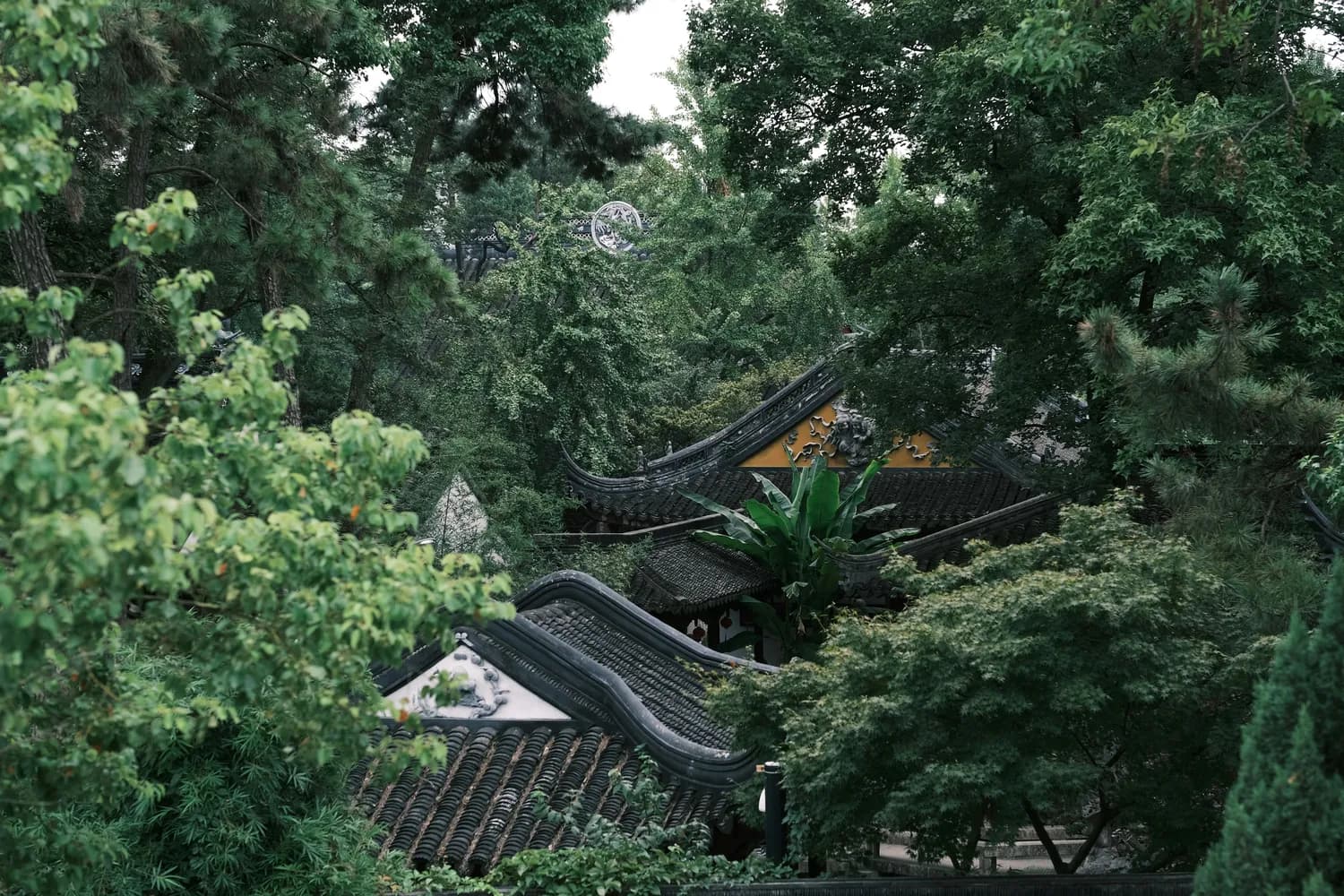 世界遗产沧浪亭980年庆特别游线推荐