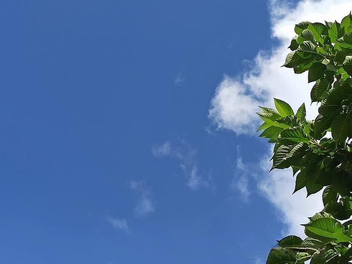 参透天地造化：邵雍《观物篇》中的五句至理名言