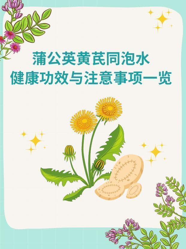 蒲公英黄芪同泡水，健康功效与注意事项一览