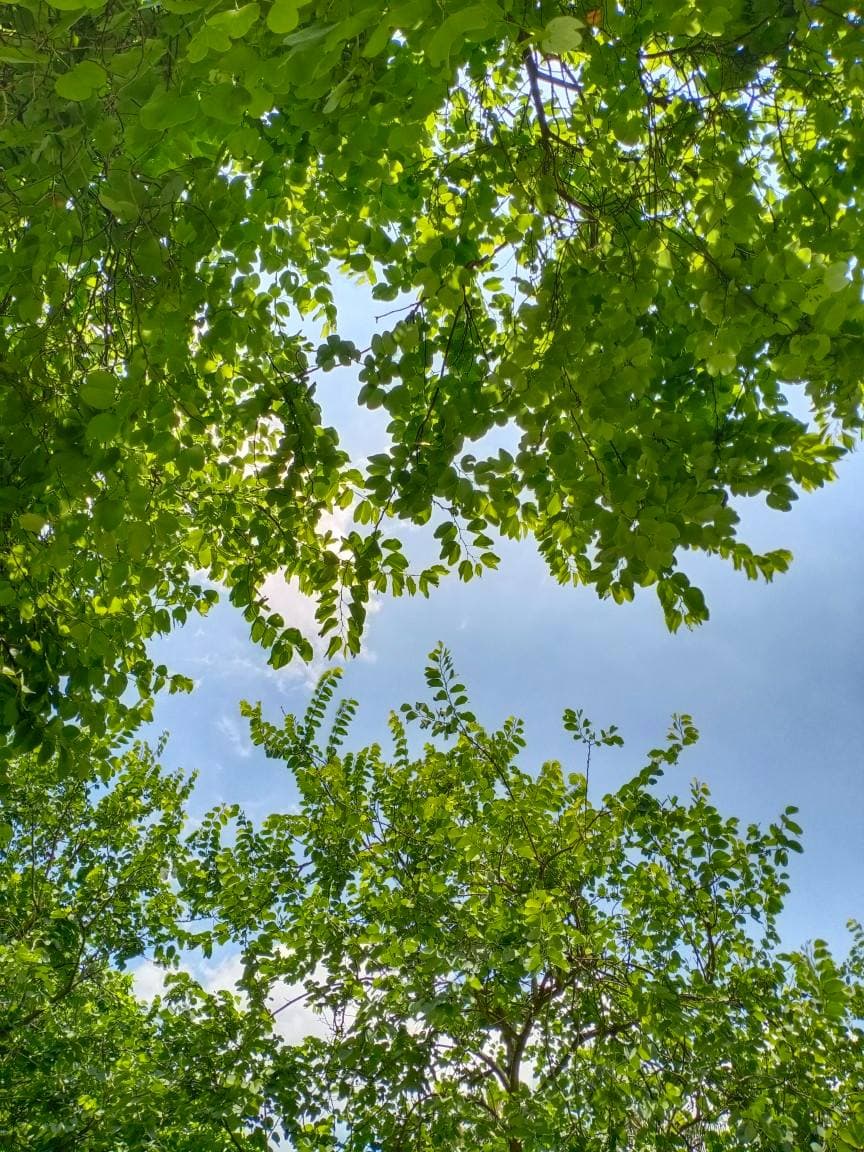 职场攻略：高效写简历的几个技巧与秘诀