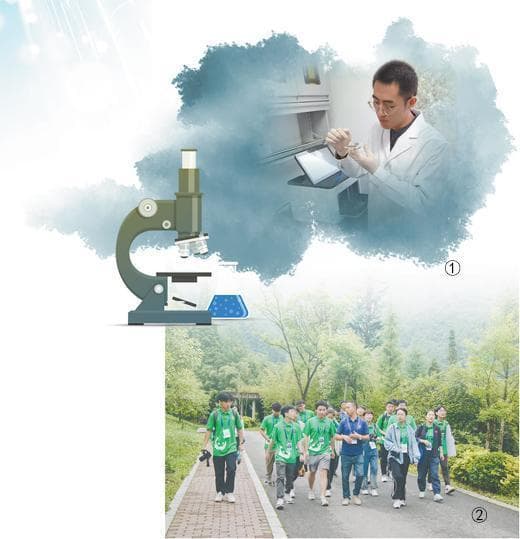 第一批强基计划学生，现在怎么样了？