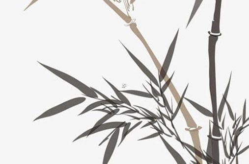 曲高和寡指的是哪些生肖 生肖里的孤独高手