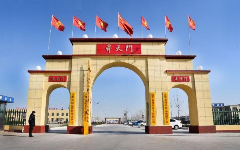 不结婚就辞退？山东舜天以“忠孝仁义”限令员工成家 独家回应：已整改并废止所有规定