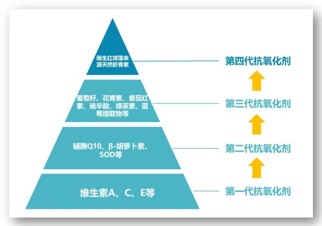 虾青素和辅酶Q10的作用区别！