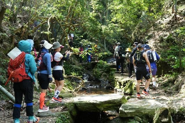 去浏阳徒步吧！“潇湘步道”主线浏阳段153公里全线贯通