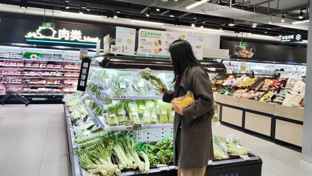 “板蓝根青菜”走红市场，华农十年研发成果获消费者青睐