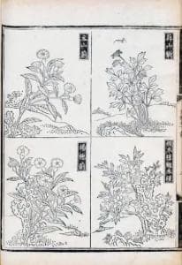 中国最早的一部词典辞书《尔雅》