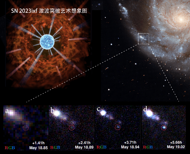 超巨星死亡的秘密：一颗超新星揭示恒星爆炸之谜