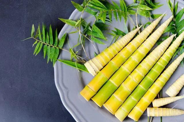 竹笋孕妇能吃吗？竹笋与孕妇：天然的美食搭配