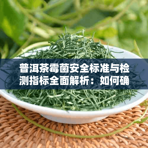 普洱茶霉菌安全标准与检测指标全面解析：如何确保饮用健康