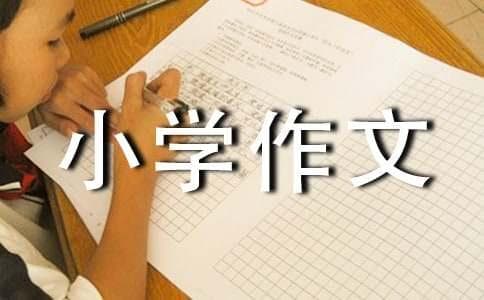 孝道之美：来自小学生的真情实感