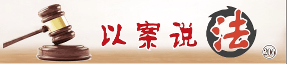 遛狗时被邻家猫咪抓伤，法院判伤者自行担责三成