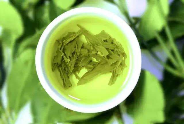 六大茶类功效大盘点：从绿茶到黑茶，总有一款适合你