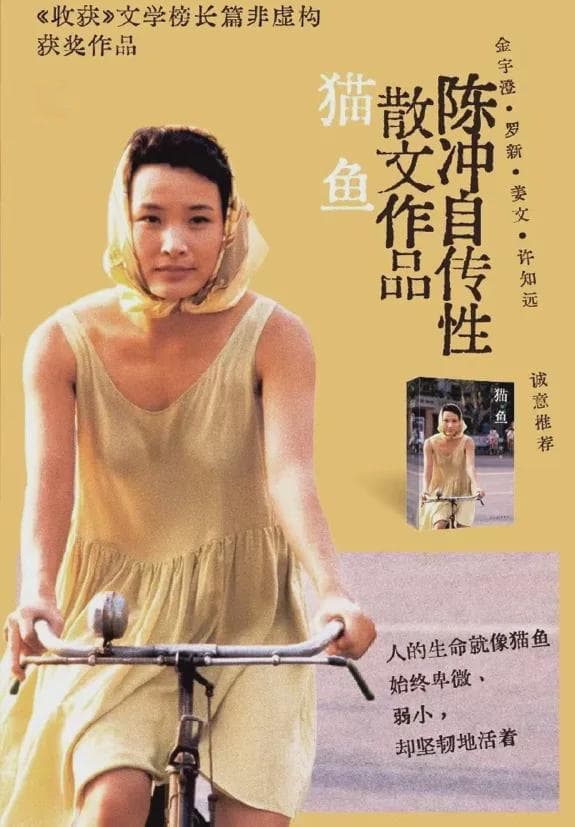 陈冲：从万人追捧到端盘子，自传记录三十年演艺路