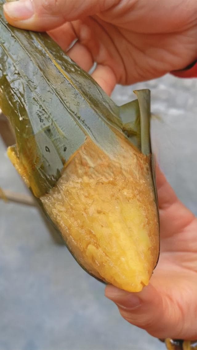 东瓯风物---灰汤粽