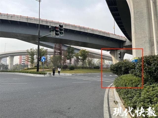 南京：遮挡视线的树移走了，这处路口不再有盲区