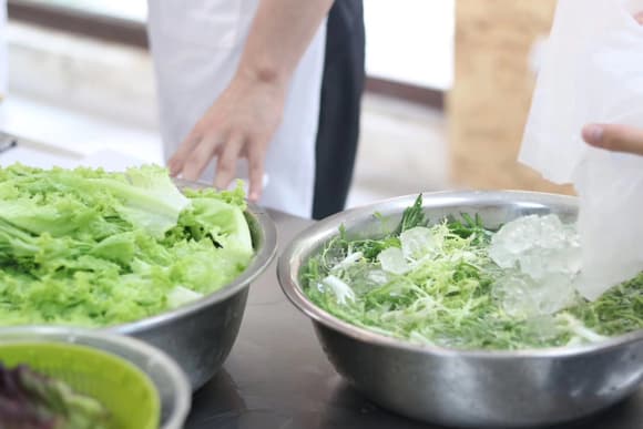 制作轻食沙拉如何保存各类蔬菜？密封容器存放沙拉菜