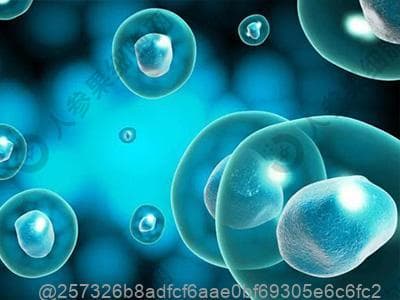 尿路感染十大忌口食物：以下十种禁忌食物你一定要知道