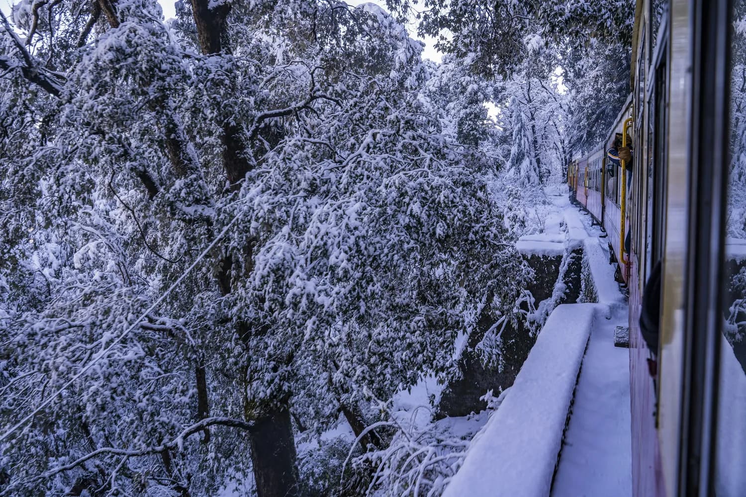 雪落灵隐：寻访济公足迹，感悟千年古刹文化