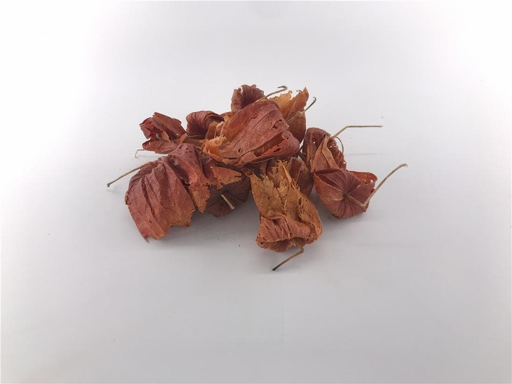 锦灯笼：传统中药的多重功效与应用