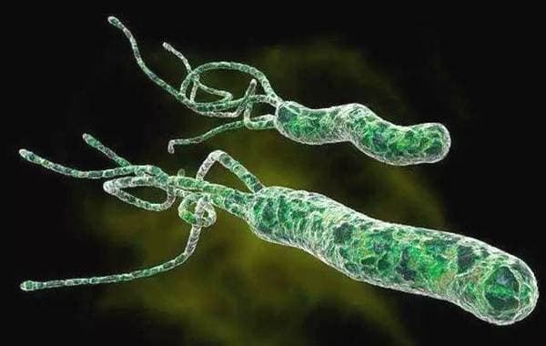 幽门螺旋杆菌感染，又不想吃四联？6个自然疗法降低幽门值。